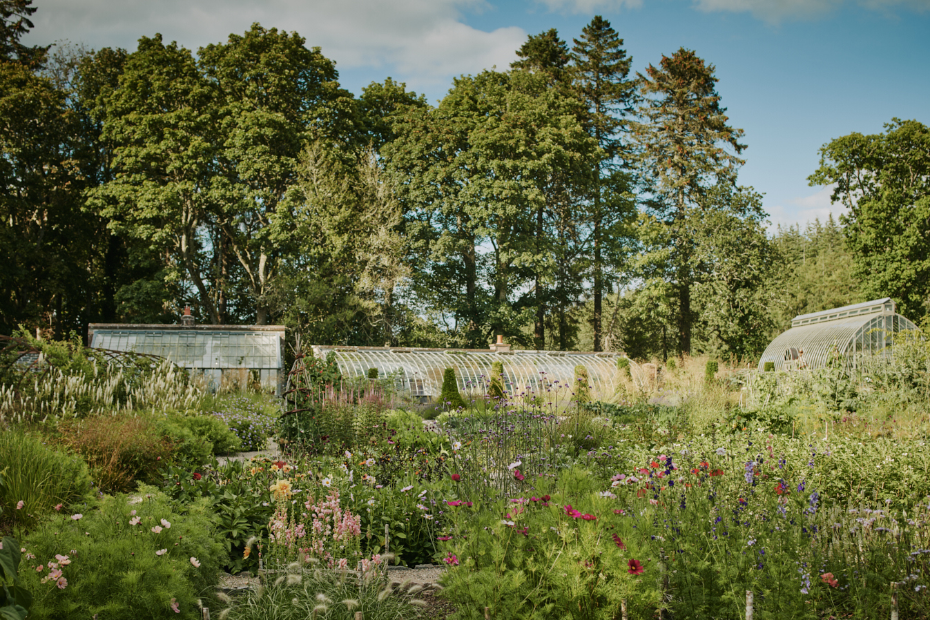 The Gardens & Grounds